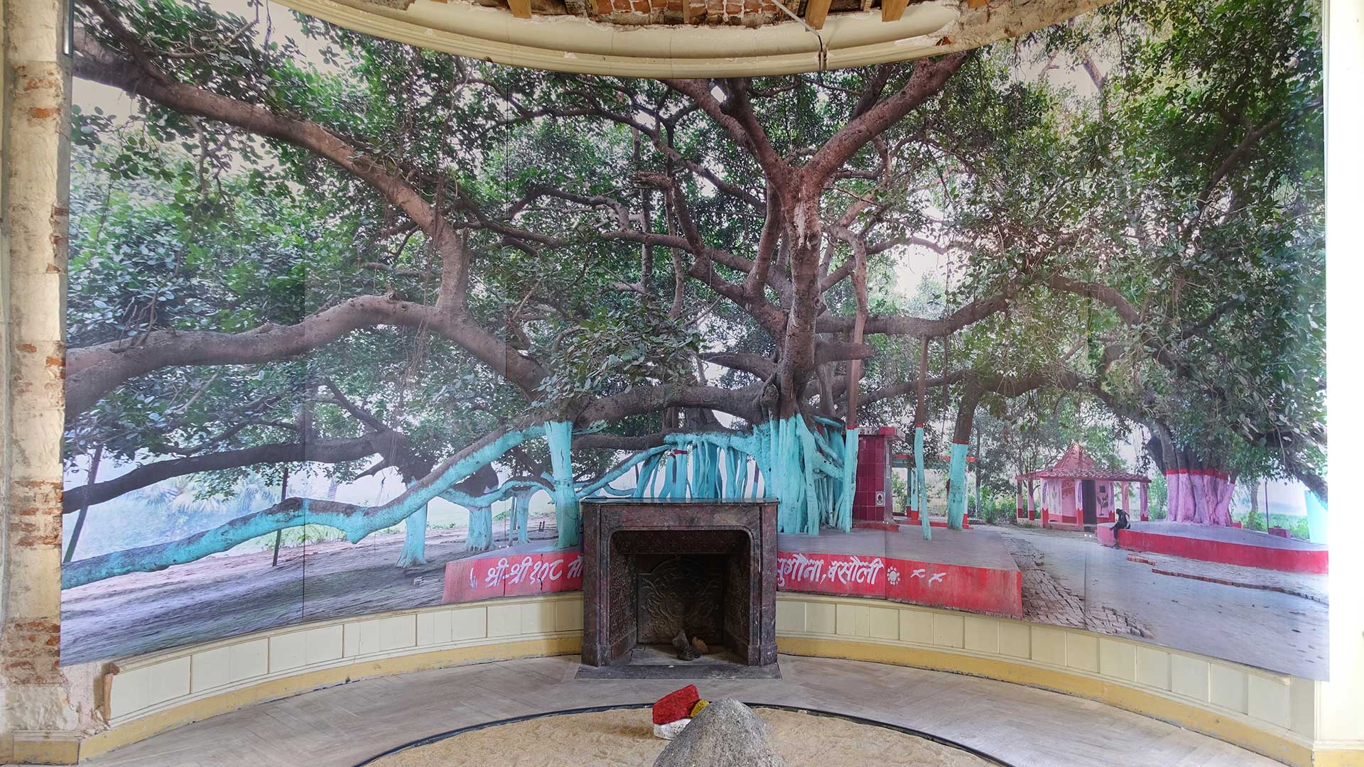 2022_Sacred_Trees_0