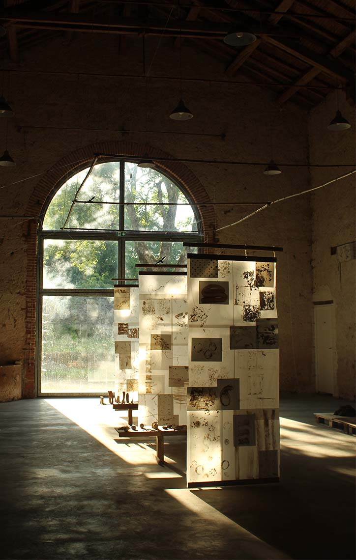 20062546_Maggie Silverman_062025_Manon Arrougé_©CIRECA_Domaine de Boisbuchet