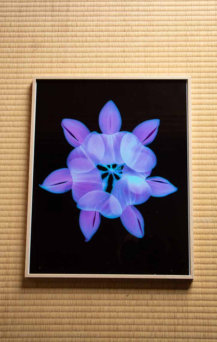 9260_Sofia Rosalia Fioramonti_29092025_Manon Arrougé_©CIRECA_Domaine de Boisbuchet