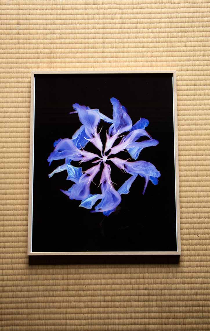 9261_Sofia Rosalia Fioramonti_29092025_Manon Arrougé_©CIRECA_Domaine de Boisbuchet