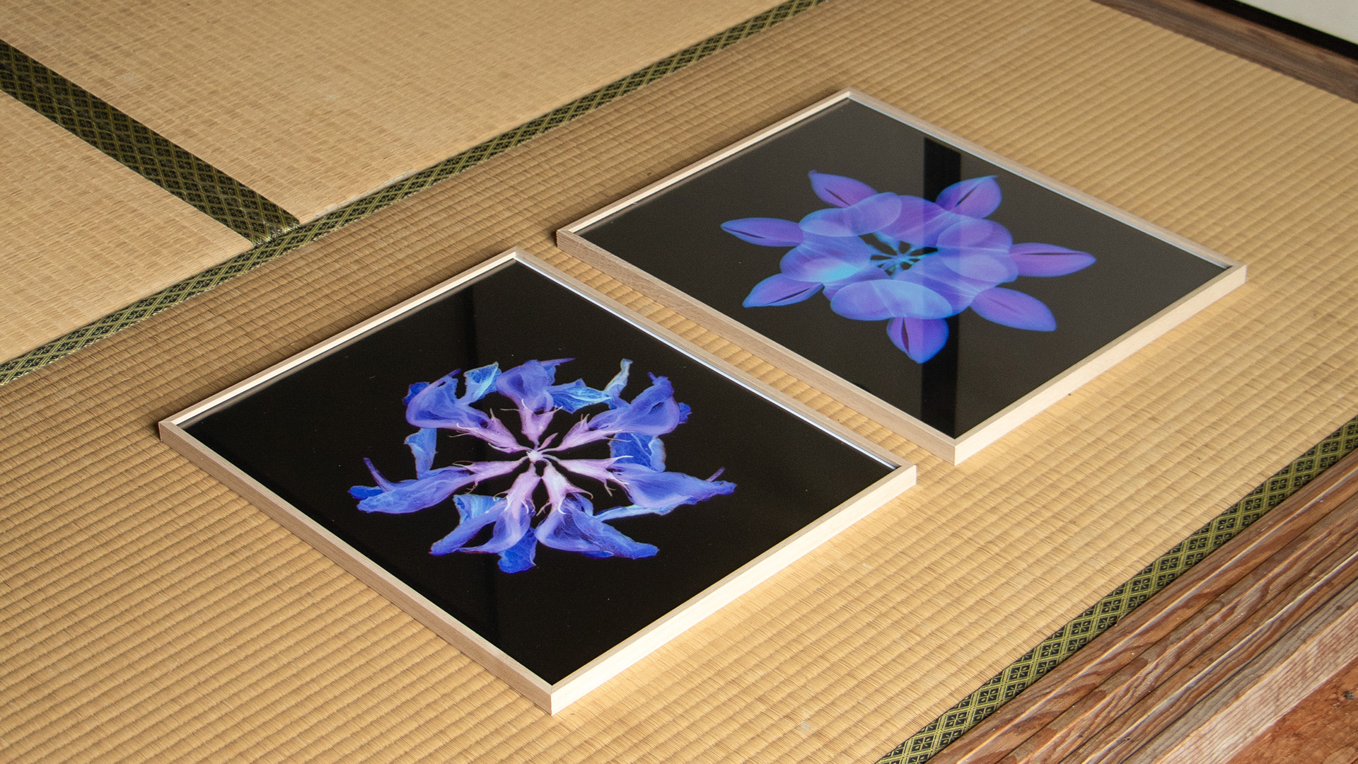 9262_Sofia Rosalia Fioramonti_29092025_Manon Arrougé_©CIRECA_Domaine de Boisbuchet