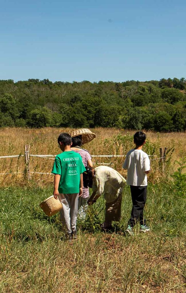 IMG_02_Emerald Hill_manon Arrougé_©SARL Culture & Agriculture_Domaine de Boisbuchet
